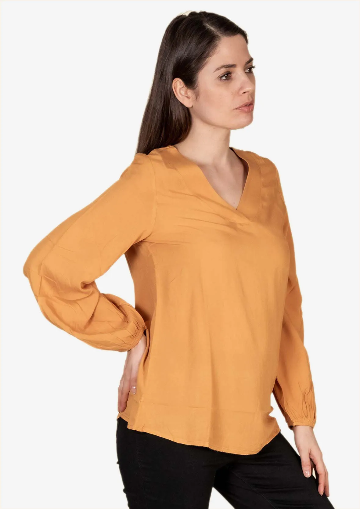 Blouson Sleeve V-Neck Top