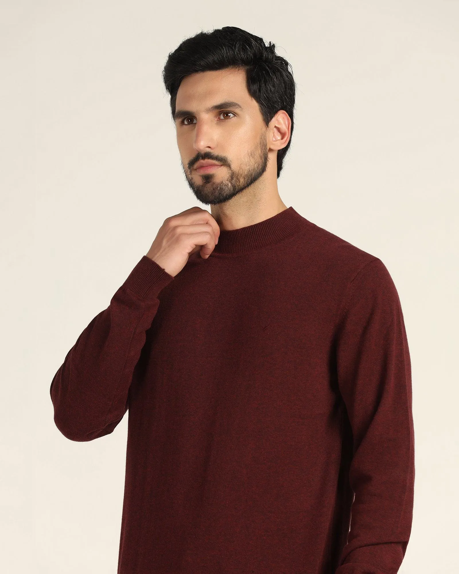 High Neck Wine Solid Sweater - Dexter