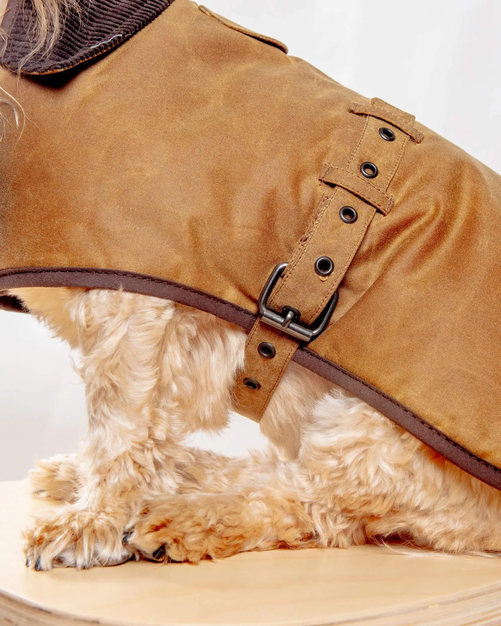 Wax Cotton All Weather Dog Jacket in Beige